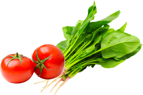 野菜のイメージ